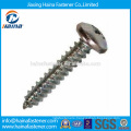 Stock Stainless Steel Self Tapping Screw (DIN7981)